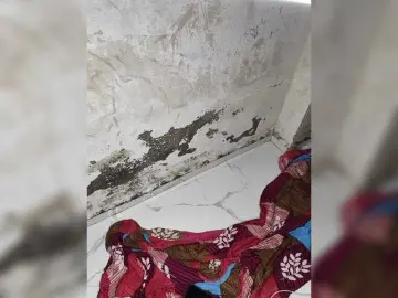 Bongacams Free Live Porn of Tunnidelhi